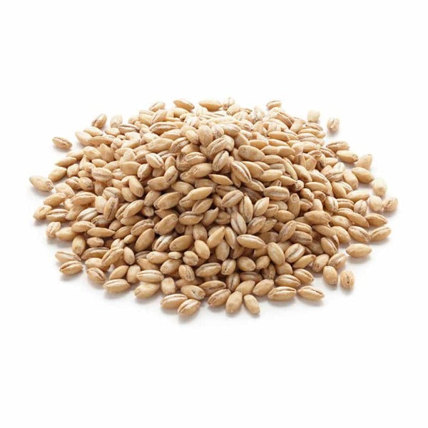 Barley