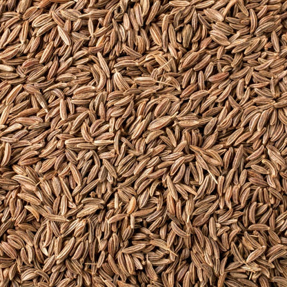 Caraway Seeds -Euro Spices